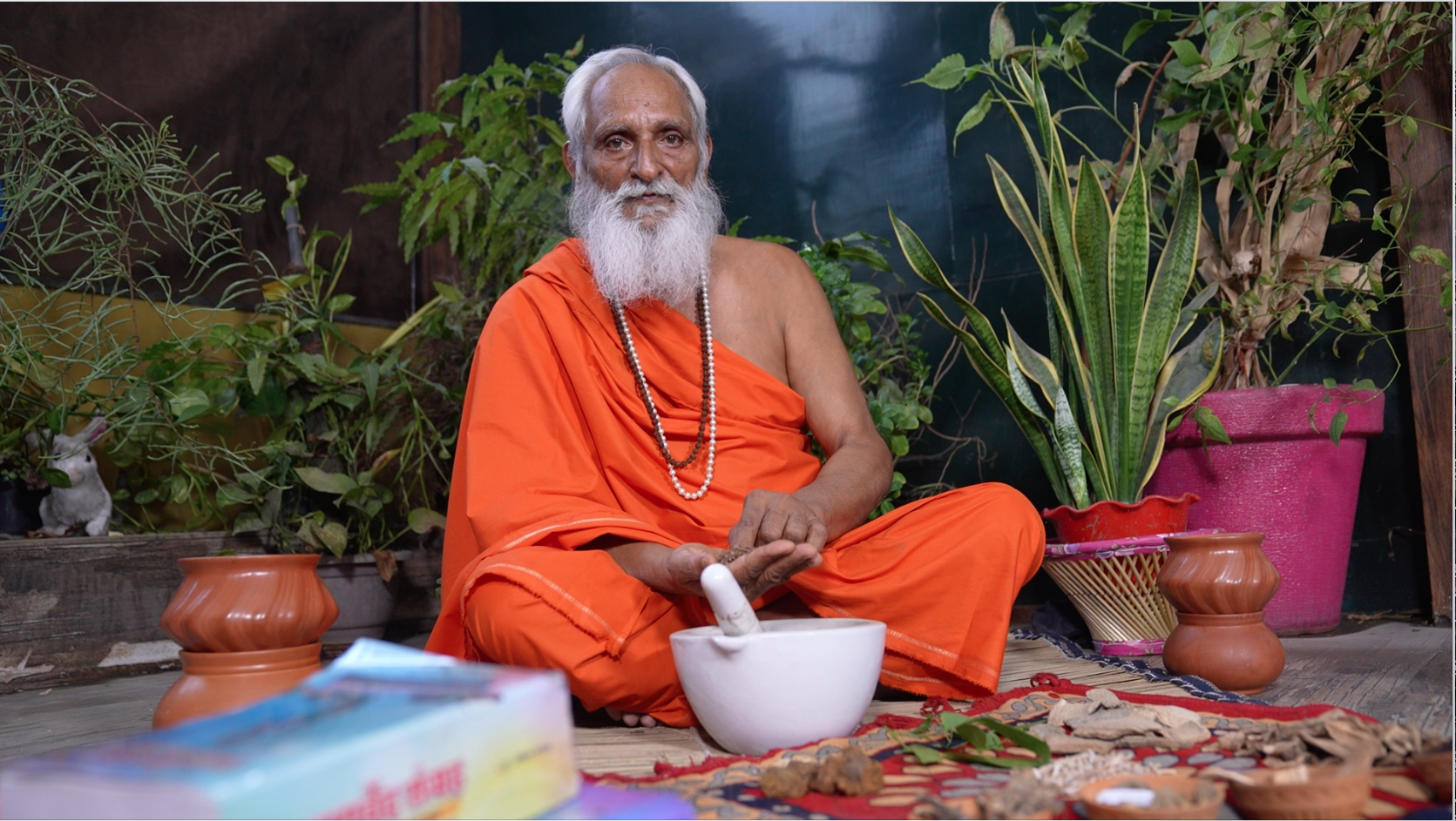 Ravigiri Baba